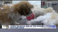 Manatee County Retail Pet Ban Not Moving Forward